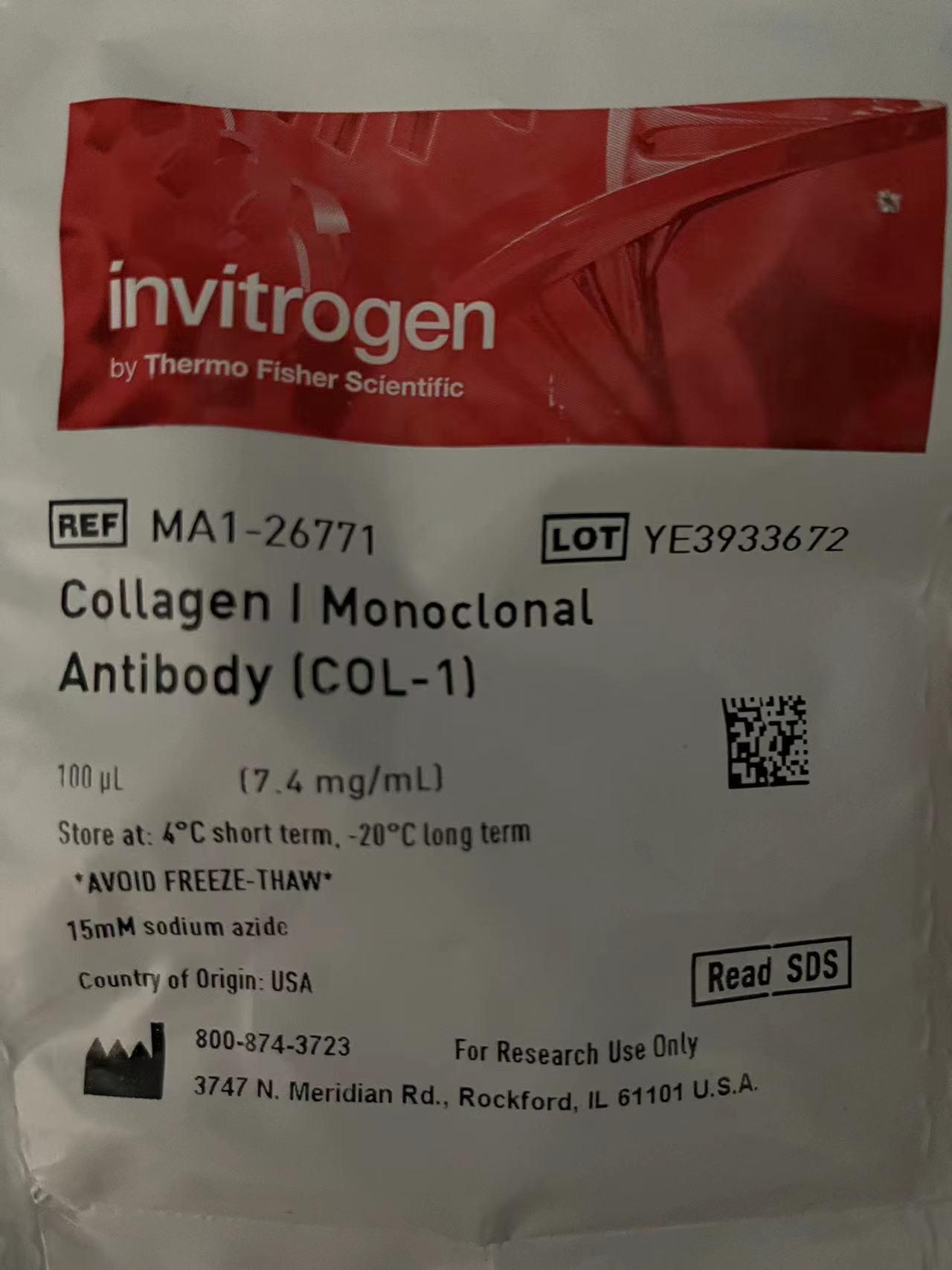 thermo现货促销------MA1-26771